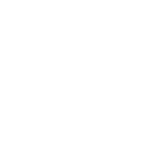 VG Peterson Logo White